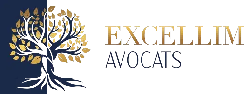 Excellim Avocats Lyon